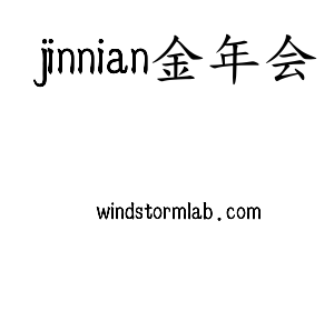 深圳市jinnian金年会网络科技有限公司logo