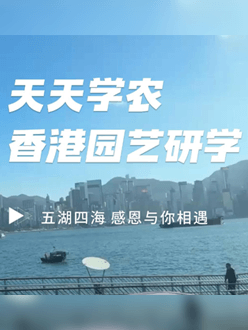 与香港园艺学会联合举办香港园艺研学，专业园境师带队讲解。