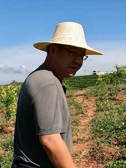 农业人叶涛，50多岁通讯人跨界搞农业，他要用1000万打造一个梦。